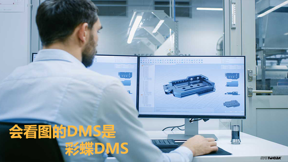 彩蝶 DMS 特点